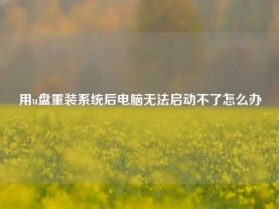 用u盘重装系统后电脑无法启动不了怎么办