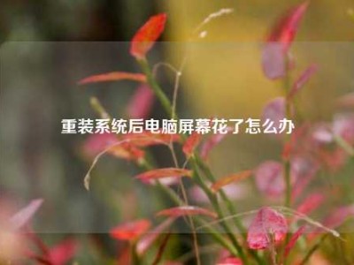 重装系统后电脑屏幕花了怎么办