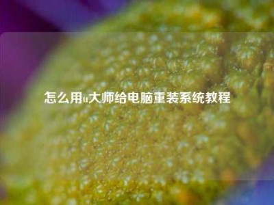 怎么用u大师给电脑重装系统教程