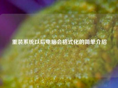 重装系统以后电脑会格式化的简单介绍