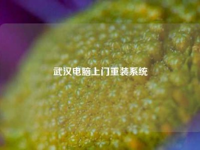 武汉电脑上门重装系统