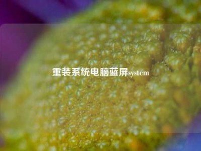 重装系统电脑蓝屏system