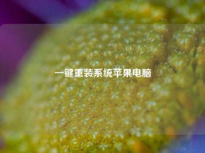 一键重装系统苹果电脑