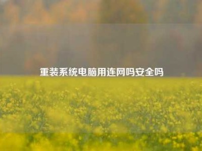 重装系统电脑用连网吗安全吗