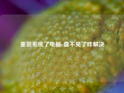 重装系统了电脑e盘不见了咋解决