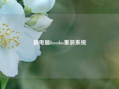 新电脑freedos重装系统