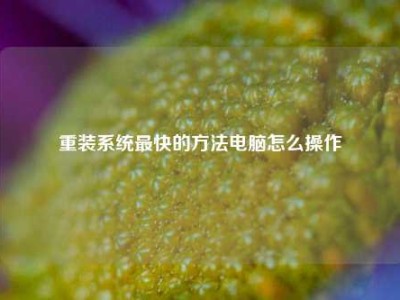 重装系统最快的方法电脑怎么操作