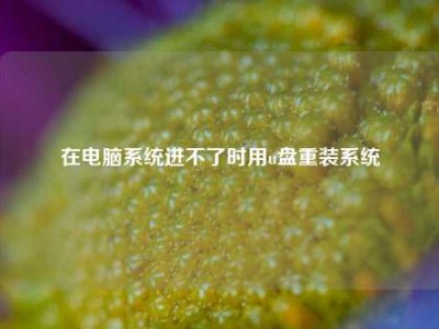 在电脑系统进不了时用u盘重装系统