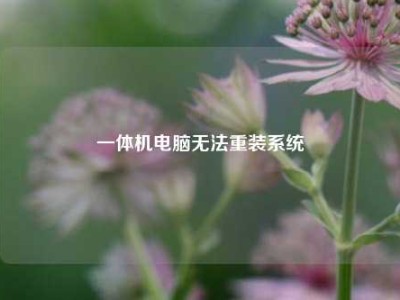 一体机电脑无法重装系统