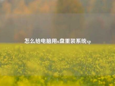 怎么给电脑用u盘重装系统xp