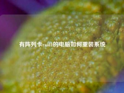 有阵列卡raid1的电脑如何重装系统