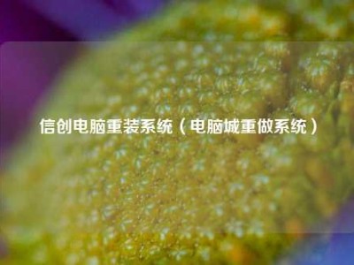 信创电脑重装系统（电脑城重做系统）