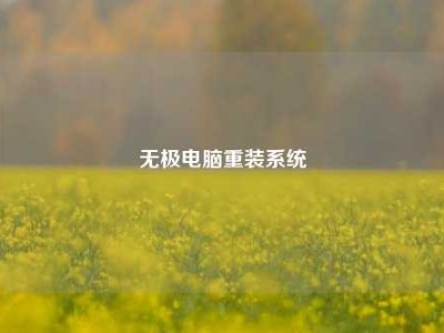 无极电脑重装系统