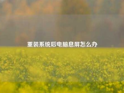 重装系统后电脑息屏怎么办