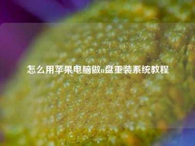 怎么用苹果电脑做u盘重装系统教程