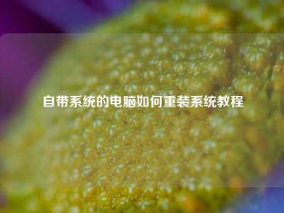 自带系统的电脑如何重装系统教程