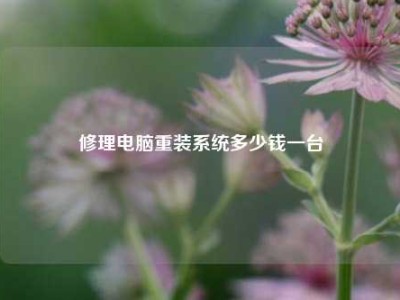 修理电脑重装系统多少钱一台