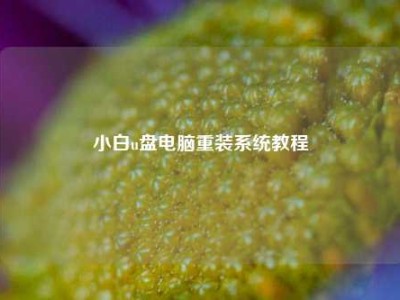 小白u盘电脑重装系统教程