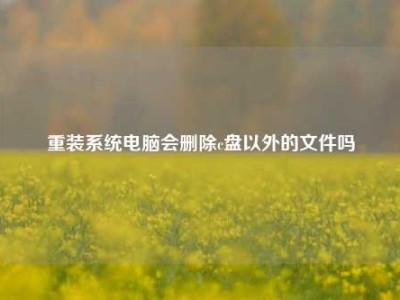 重装系统电脑会删除c盘以外的文件吗