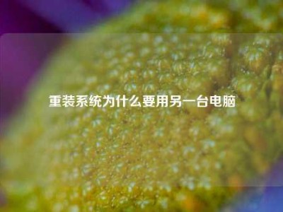 重装系统为什么要用另一台电脑