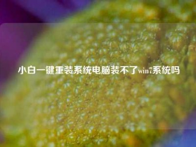 小白一键重装系统电脑装不了win7系统吗