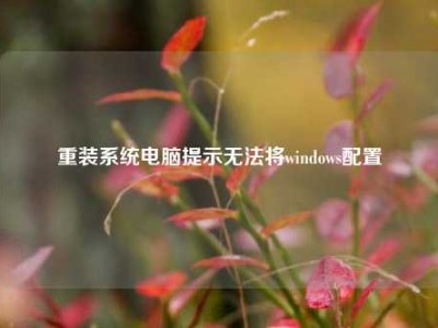 重装系统电脑提示无法将windows配置