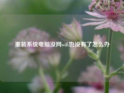 重装系统电脑没网wifi也没有了怎么办