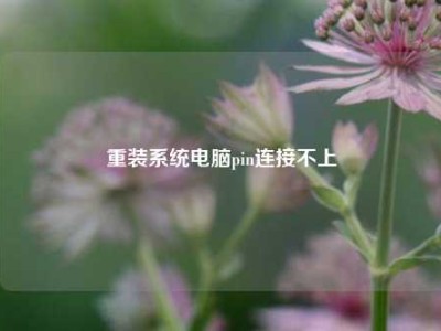 重装系统电脑pin连接不上