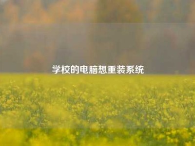 学校的电脑想重装系统