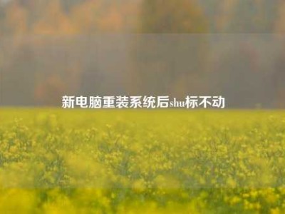 新电脑重装系统后shu标不动