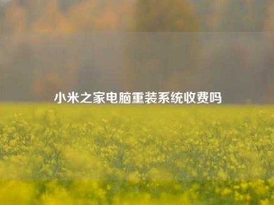 小米之家电脑重装系统收费吗