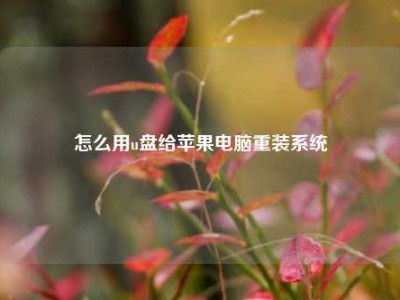 怎么用u盘给苹果电脑重装系统