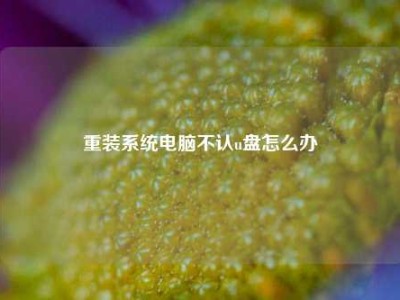 重装系统电脑不认u盘怎么办