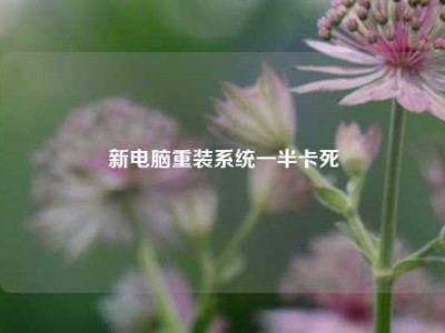 新电脑重装系统一半卡死