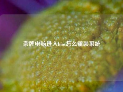 杂牌电脑进入bios怎么重装系统