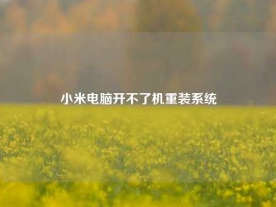 小米电脑开不了机重装系统