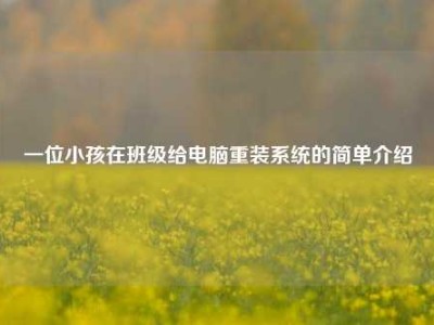 一位小孩在班级给电脑重装系统的简单介绍