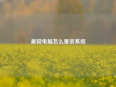 星锐电脑怎么重装系统