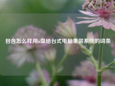 包含怎么样用u盘给台式电脑重装系统的词条