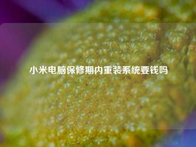 小米电脑保修期内重装系统要钱吗