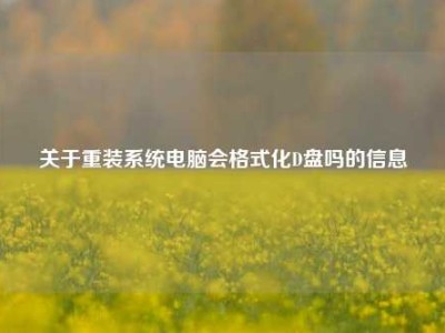 关于重装系统电脑会格式化D盘吗的信息