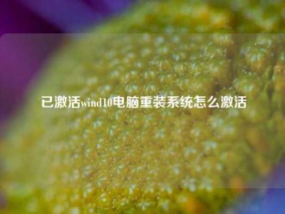 已激活wind10电脑重装系统怎么激活