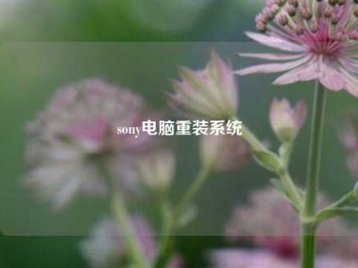 sony电脑重装系统