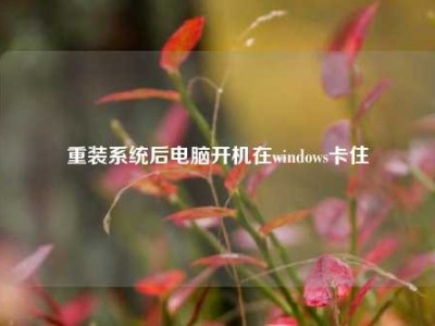 重装系统后电脑开机在windows卡住