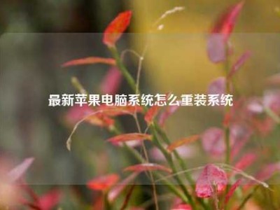 最新苹果电脑系统怎么重装系统