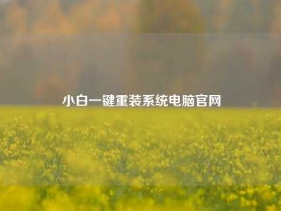 小白一键重装系统电脑官网