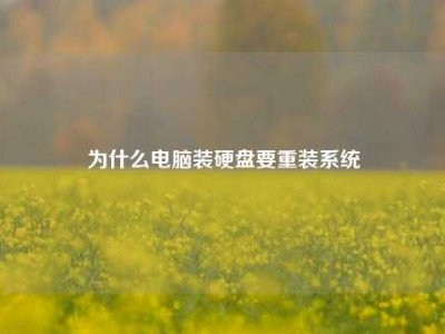 为什么电脑装硬盘要重装系统