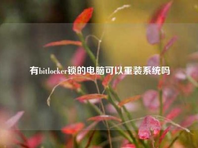 有bitlocker锁的电脑可以重装系统吗