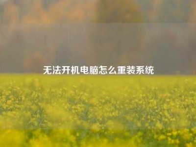 无法开机电脑怎么重装系统