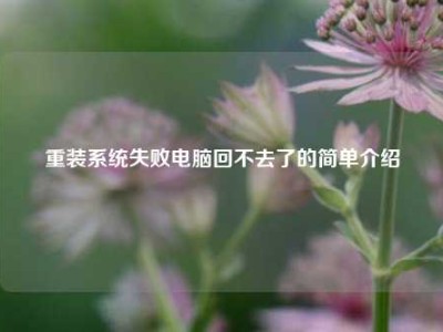 重装系统失败电脑回不去了的简单介绍